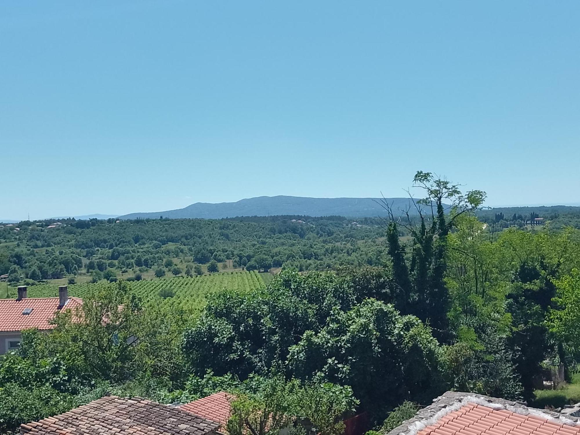Apartments Lazzarini Battiala Nedeščina Dış mekan fotoğraf